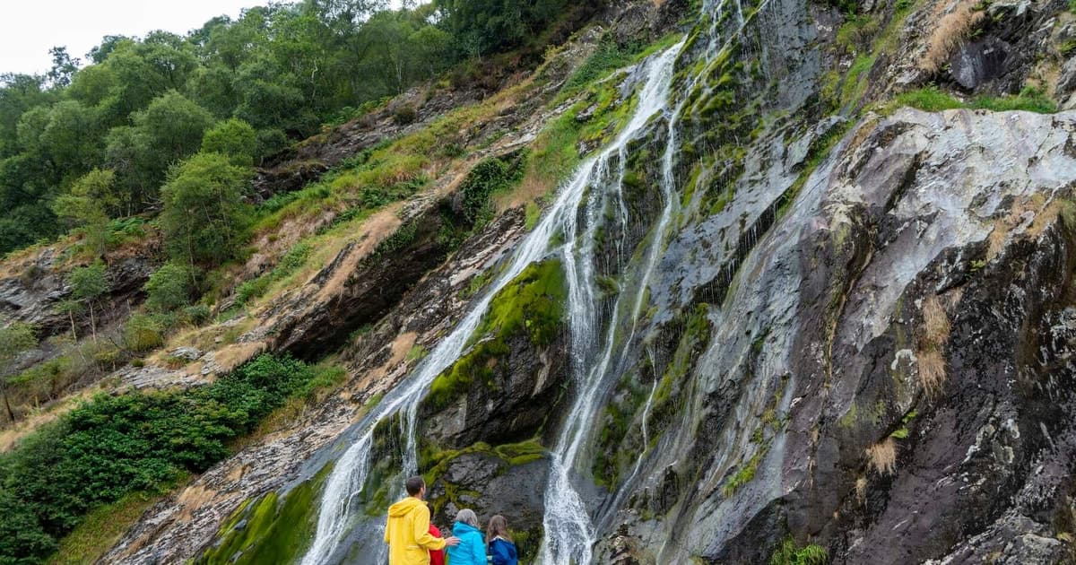 From Dublin: Wicklow, Glendalough, Waterfall & Sheepdog Show
