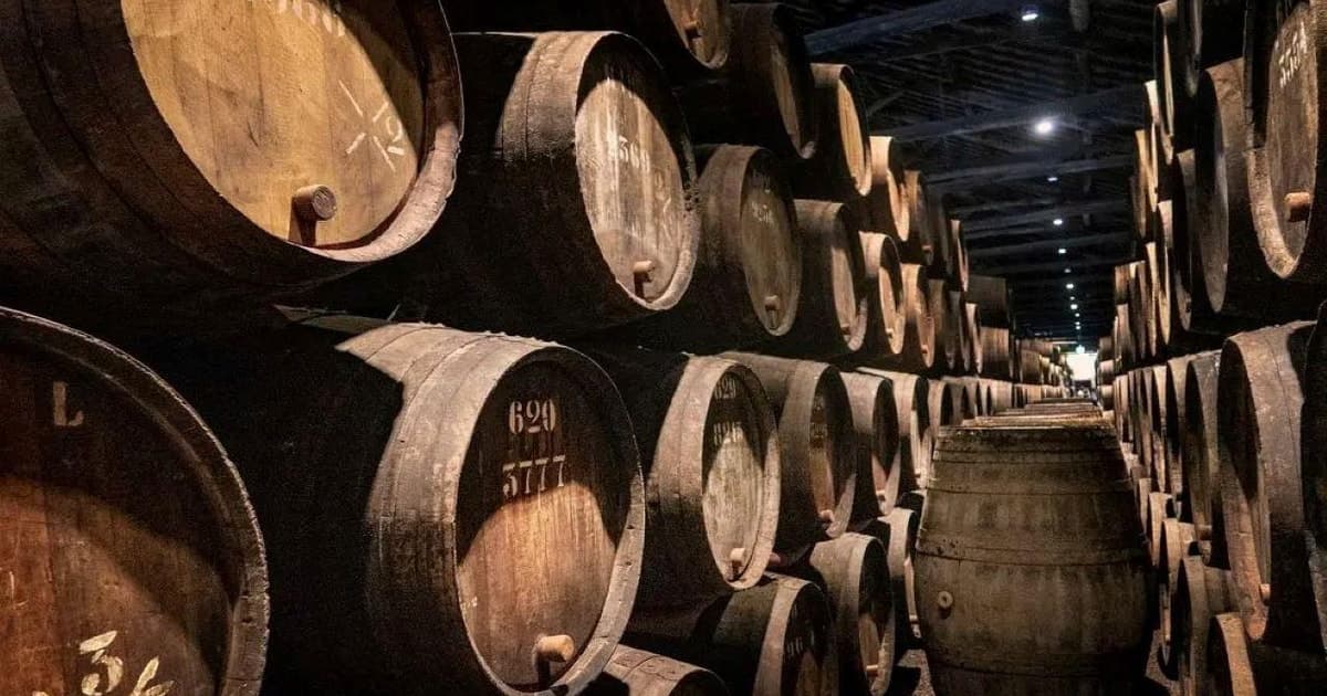 Porto: Cruise and Visit to Port Wine Cellars with Fado and Dinner