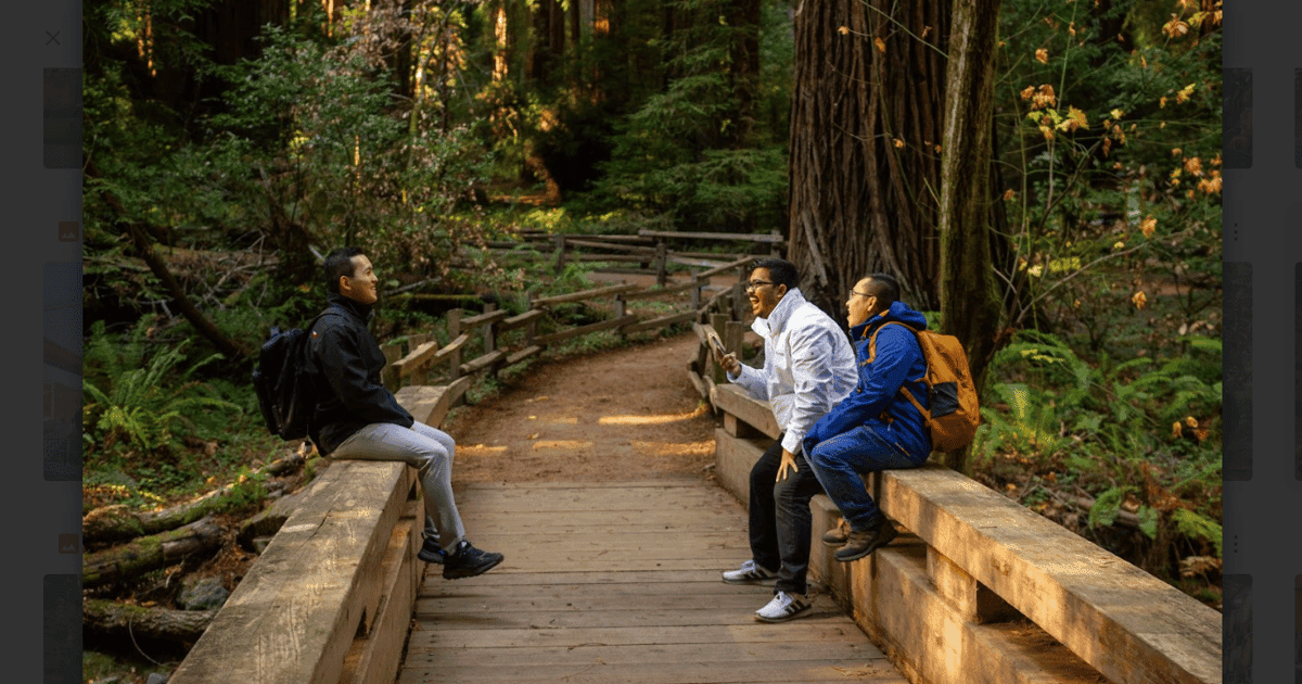 Guided San Francisco to Muir Woods Shuttle Trip