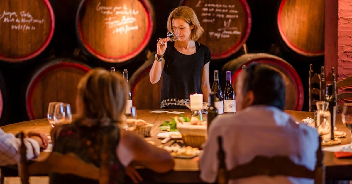 Barcelona: tour gourmet con vinos, aceite y gastronomía de Abadal