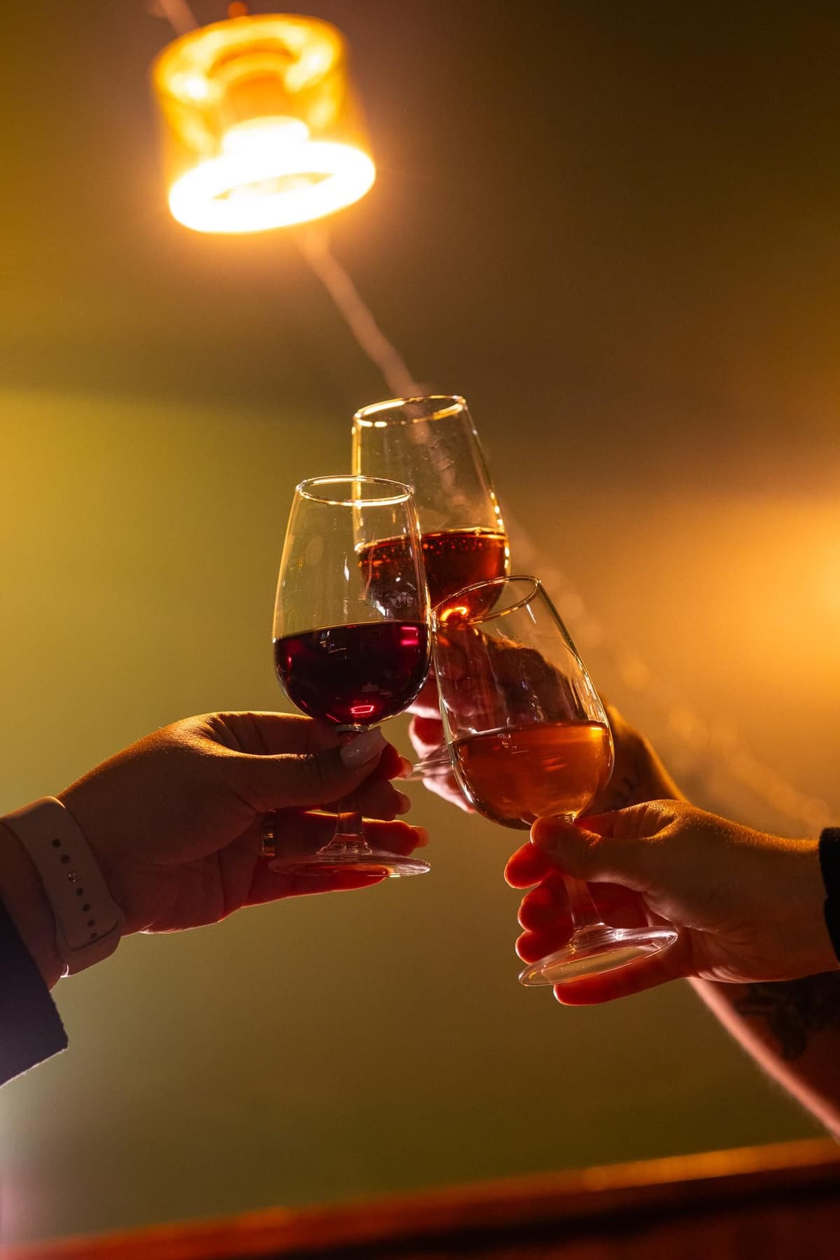 Lisbon: Fortified Wine Tasting (Port/Muscatel/Abafado)