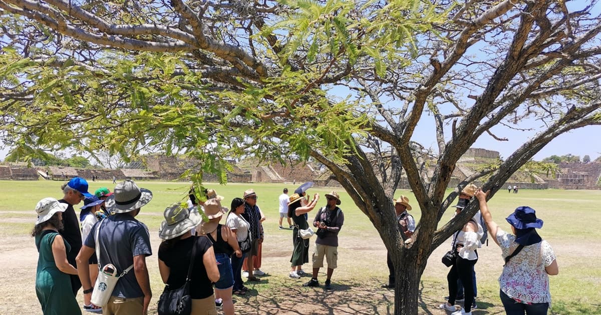 Tour a Monte Albán, Barro Negro, telar de cintura y alebrijes