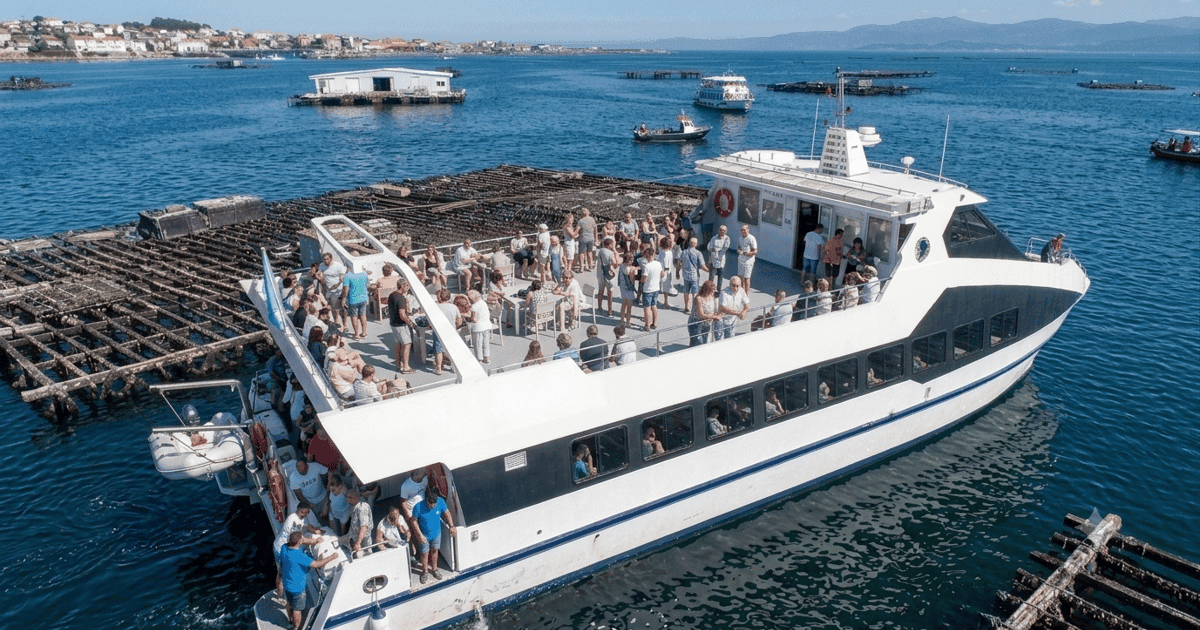 Desde Santiago: tour por las Rías Baixas con crucero y bodega opcional