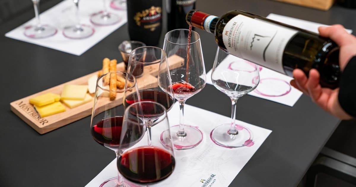 Verona: Winery Visit & Wine Tasting near the City Center