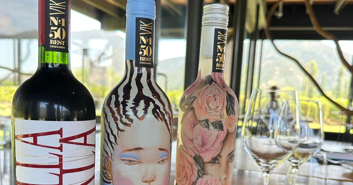 Desde Santiago: tour por la bodega VIK con almuerzo y cata de vino