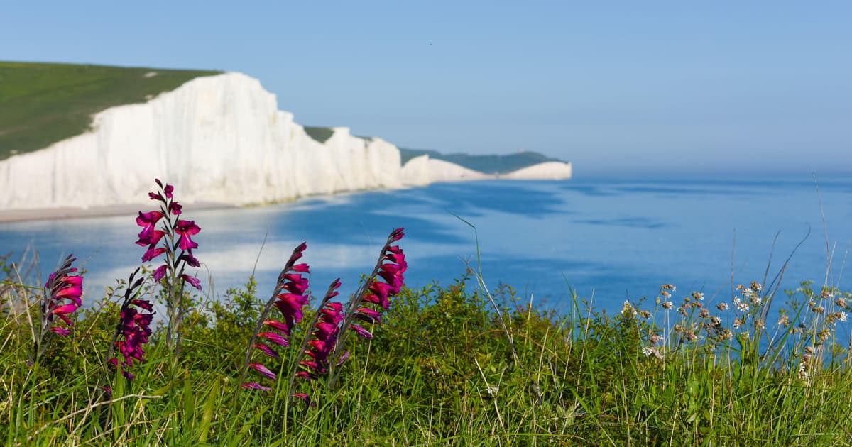 From London: Seven Sisters and Brighton Full-Day Tour