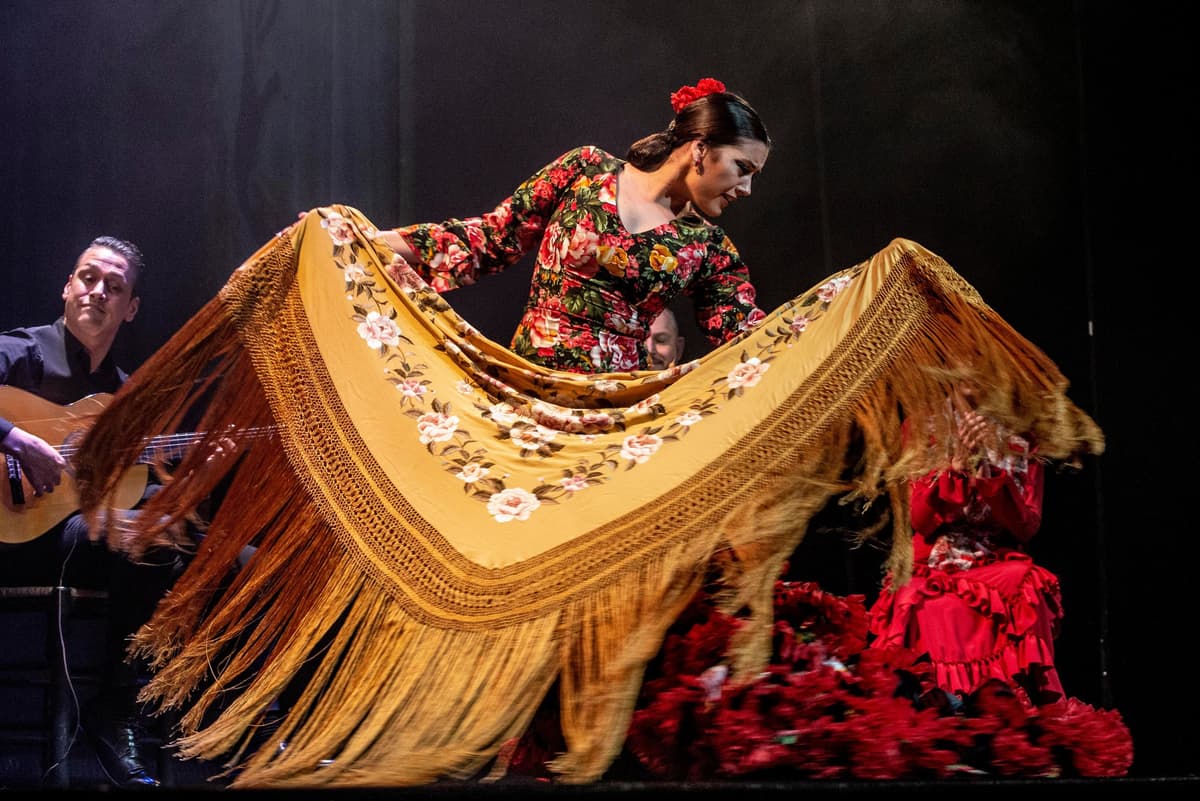Madrid: Actuación Flamenca en Directo "Emociones