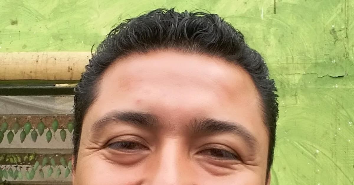Desde Quito: Bosque Nublado de Mindo, excursión de un día con almuerzo