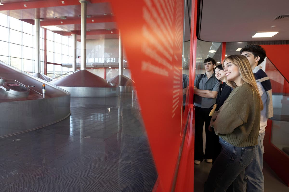 Barcelona: tour guiado a la fábrica de cerveza Estrella Damm con degustación