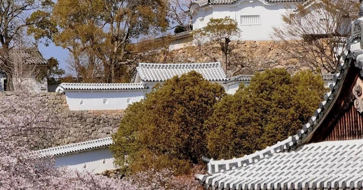 Osaka: Himeji Castle&Arima Onsen&Mount Maya Trip-small group