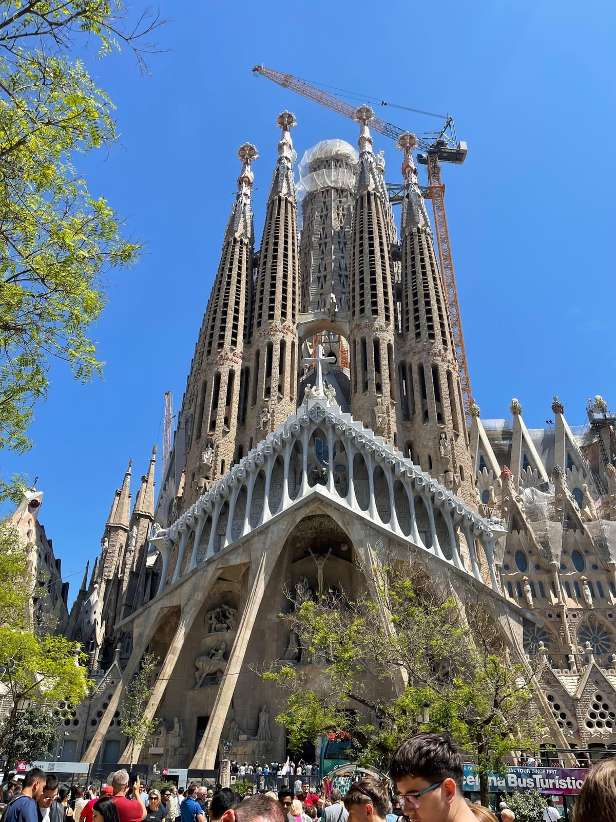 Tour guiado de la Sagrada Familia con acceso opcional a las torres