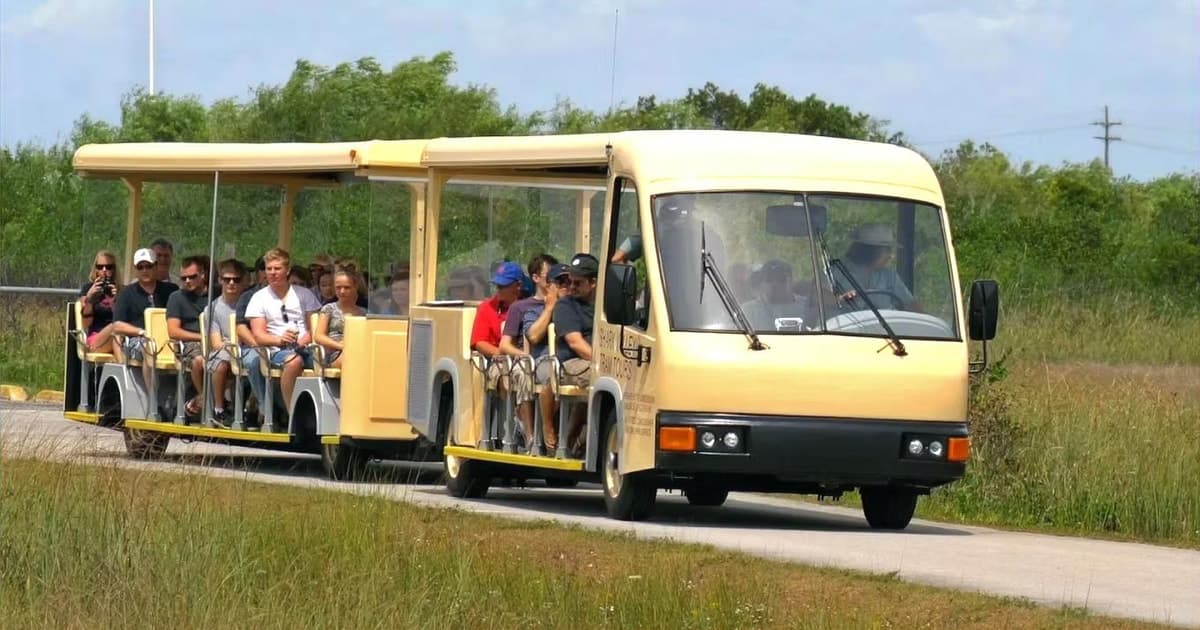 Desde Miami: tour en tranvía por la naturaleza y la fauna de los Everglades