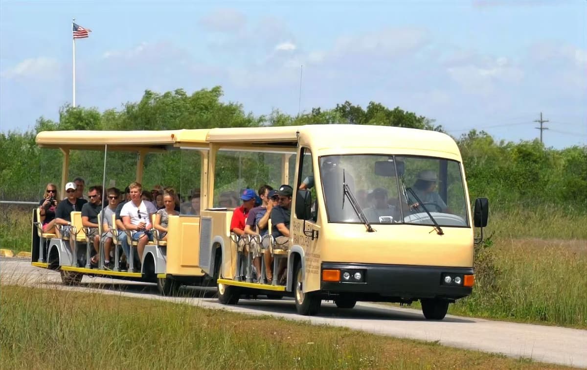 From Miami: Everglades Nature & Wildlife Tram Tour