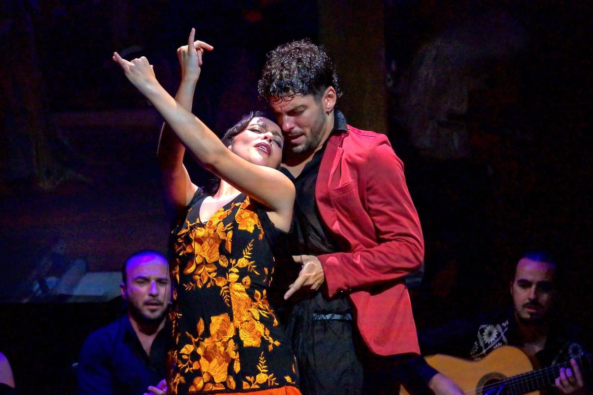 Seville: Live Flamenco Show at "Teatro Flamenco Triana"