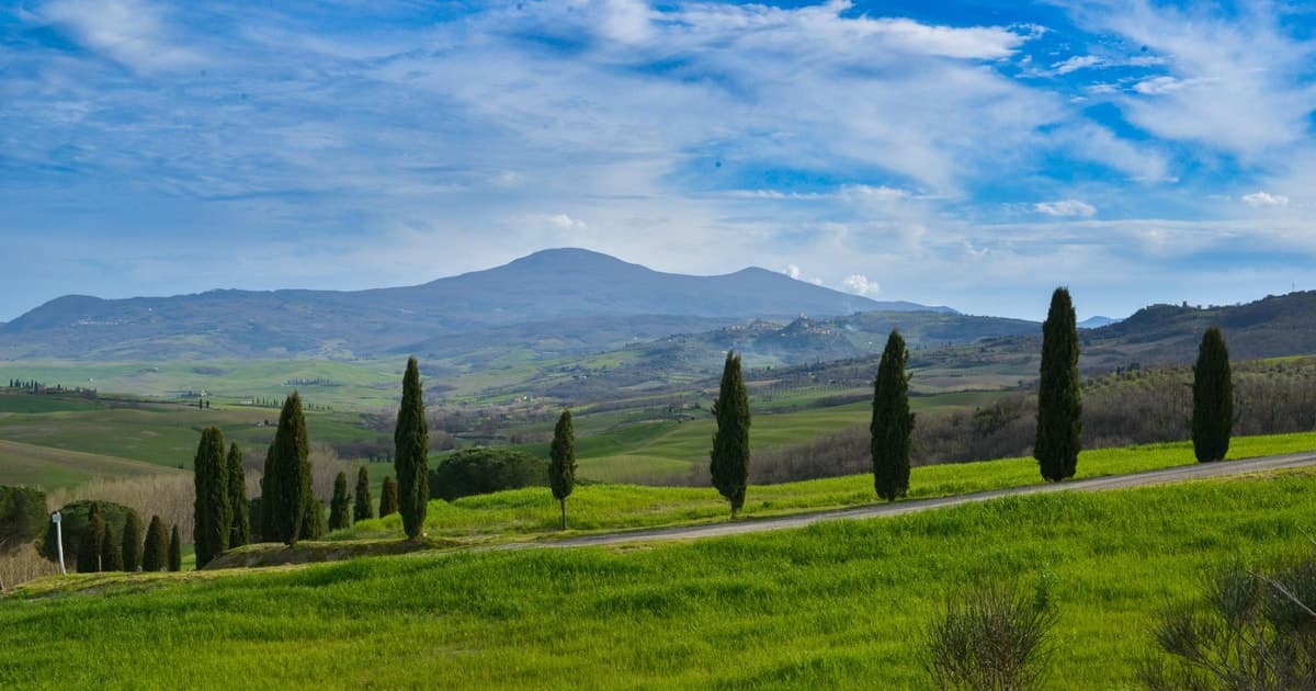 A Wine Bliss in Montalcino, Montepulciano, Val D'Orcia