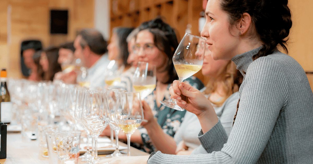 Tasting 3 glasses of wine + 3 tapas