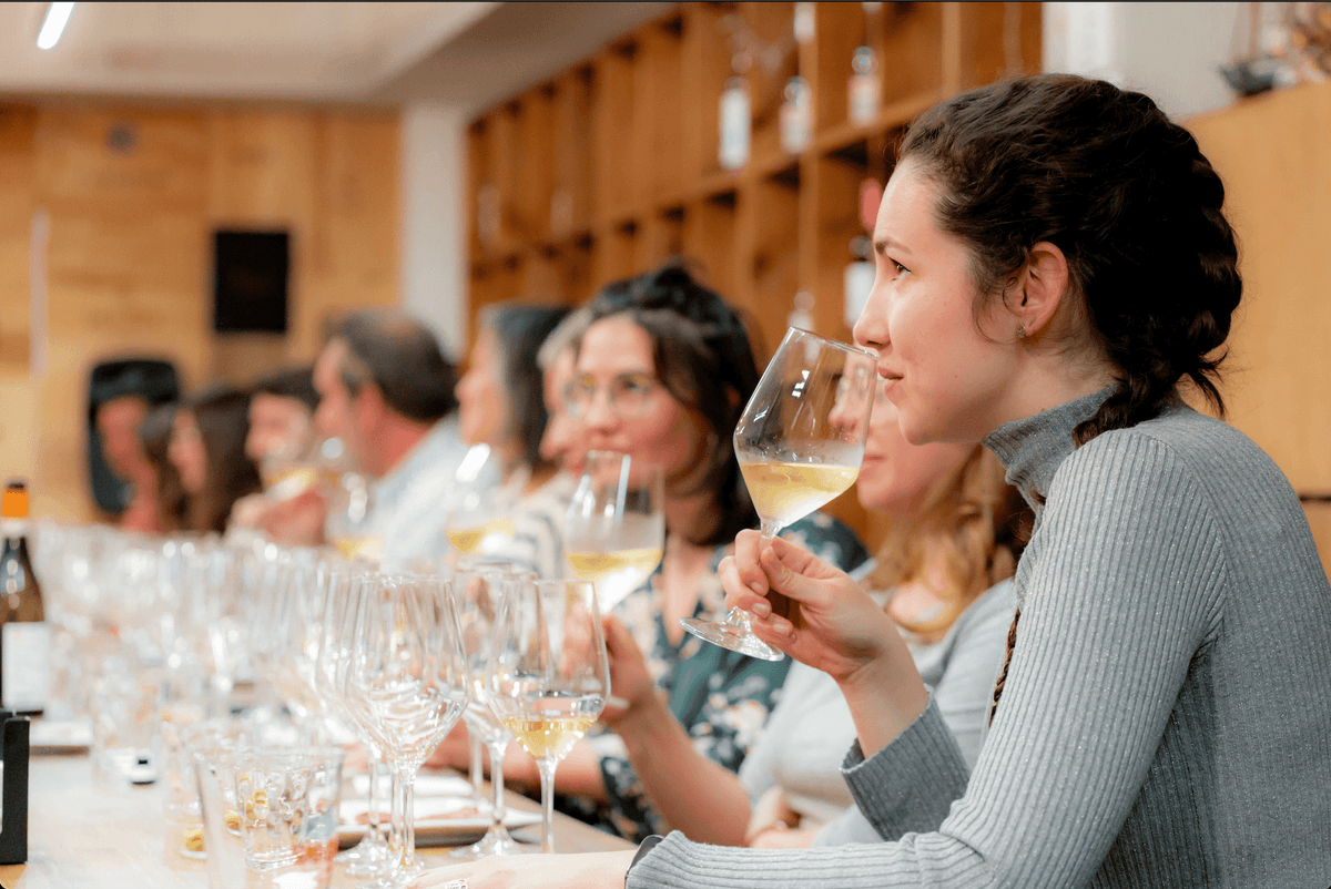 Tasting 3 glasses of wine + 3 tapas