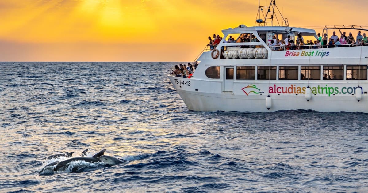 Puerto de Alcúdia: amanecer en el mar y tour en barco para ver delfines