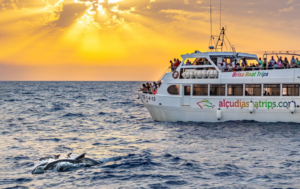 Puerto de Alcúdia: amanecer en el mar y tour en barco para ver delfines
