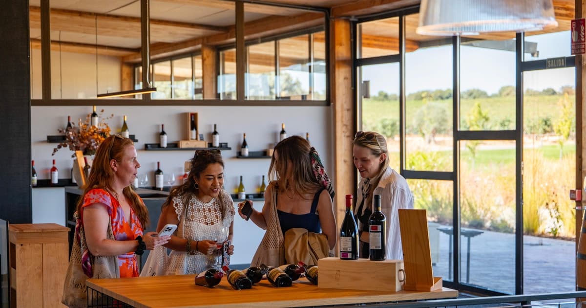 From Madrid: Ribera del Duero Tour of 3 Wineries w/ Tastings
