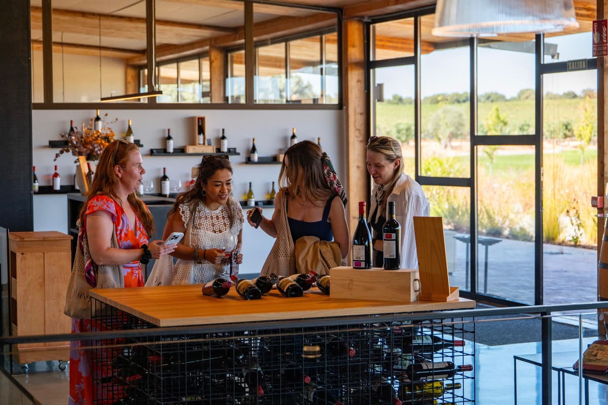 From Madrid: Ribera del Duero Tour of 3 Wineries w/ Tastings