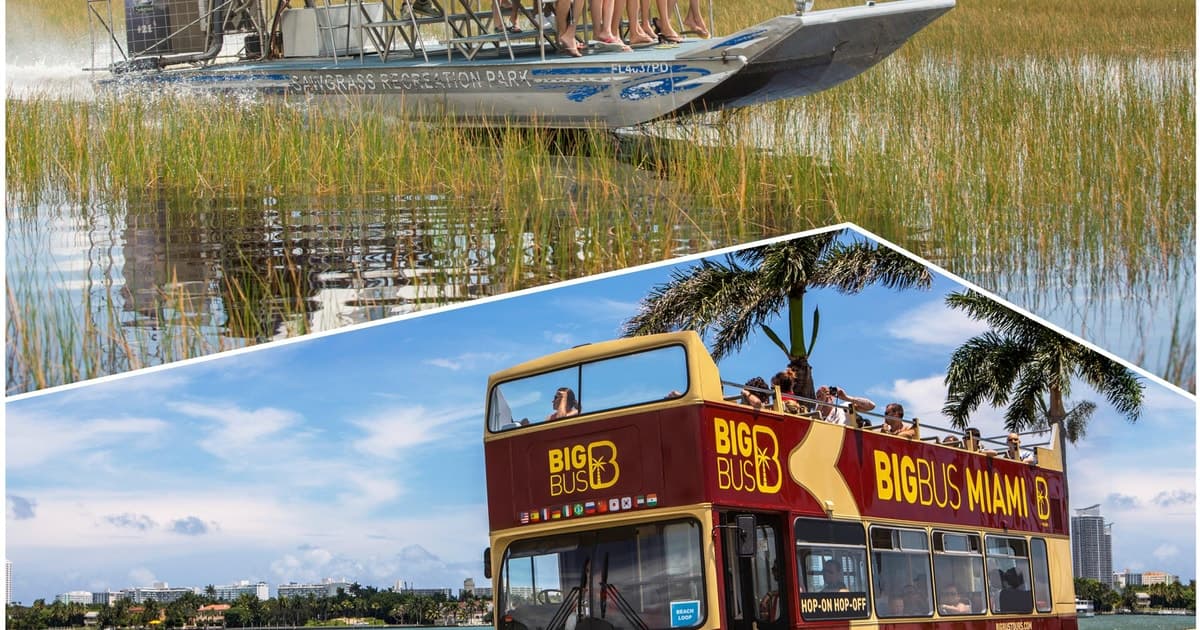 Combo de Miami: experiencia en los Everglades y tour con paradas libres