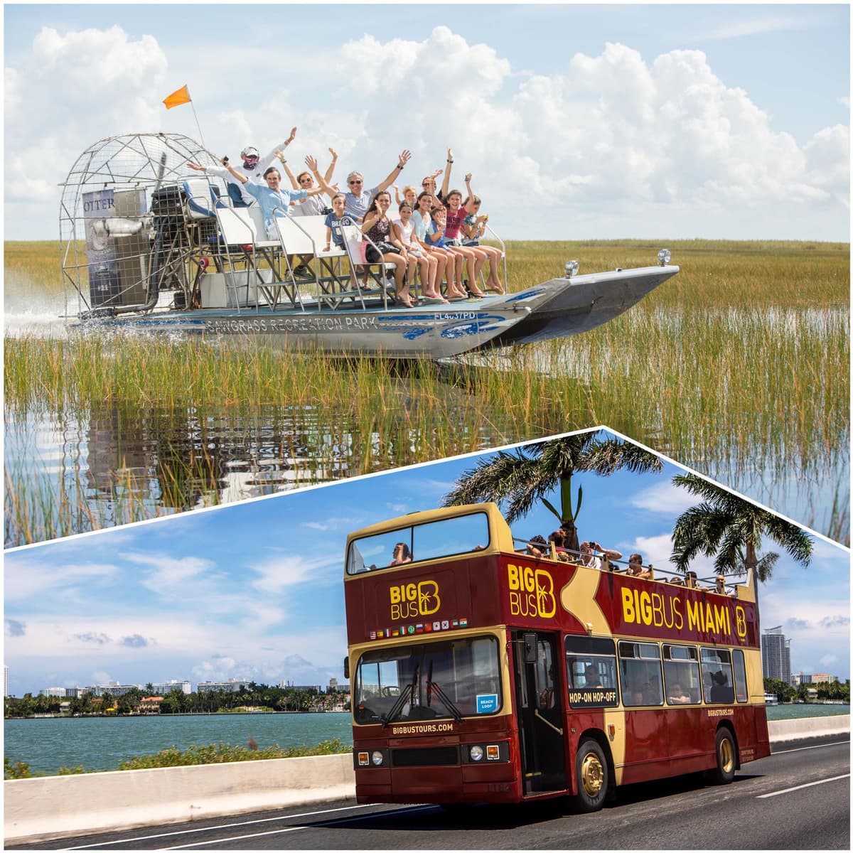 Combo de Miami: experiencia en los Everglades y tour con paradas libres