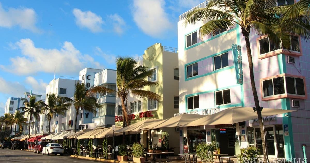 Miami: Everglades Airboat, City Tour, & Bay Cruise Combo