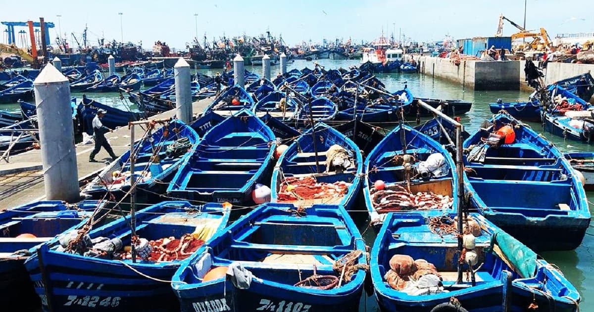 Marrakech: Excursión de un día a Essaouira con la Cooperativa de Aceite de Argán