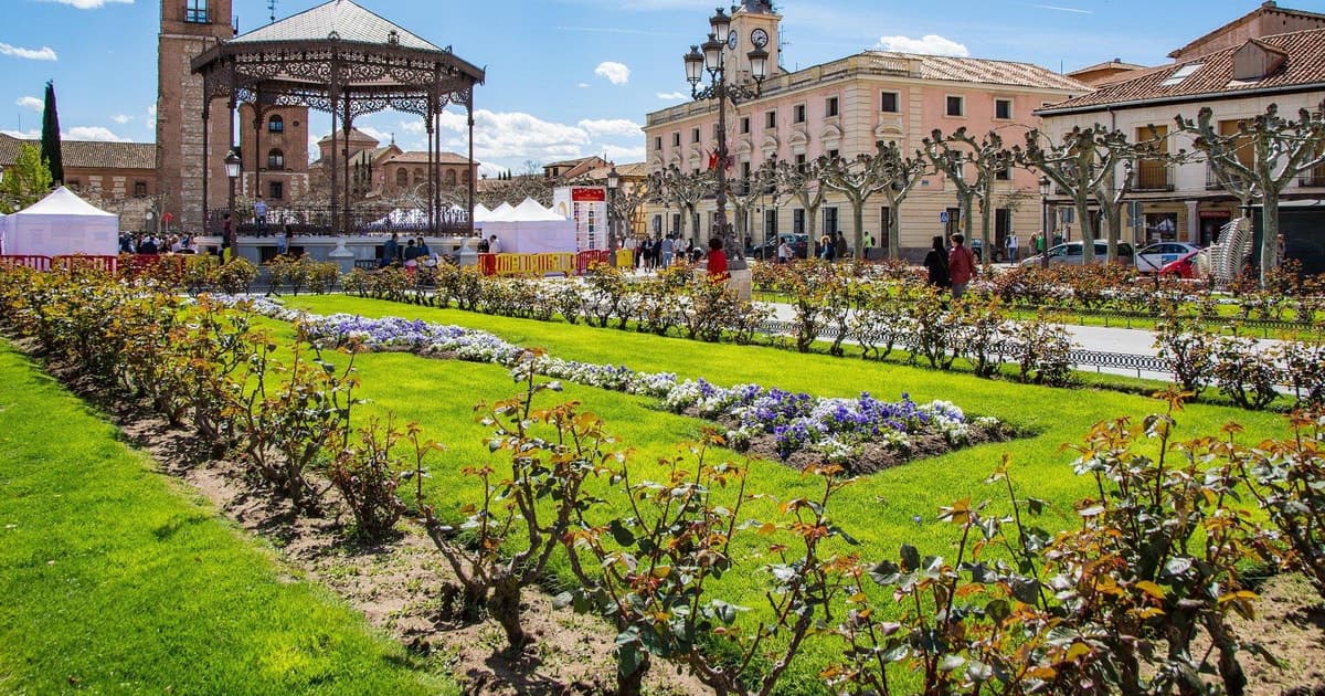 Desde Madrid: Alcalá de Henares, Visita a Bodegas y Cata de Vinos