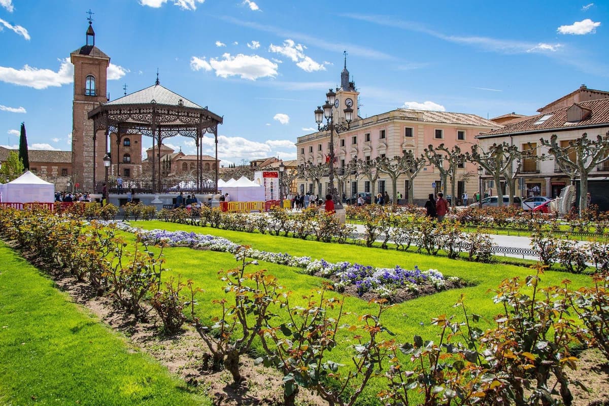 From Madrid: Alcalá de Henares, Winery Tour & Wine Tasting