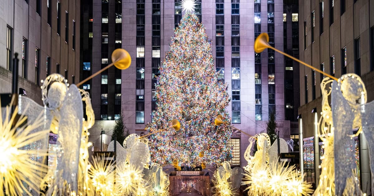NYC: Holiday Lights and Dyker Heights Luxury Bus Tour