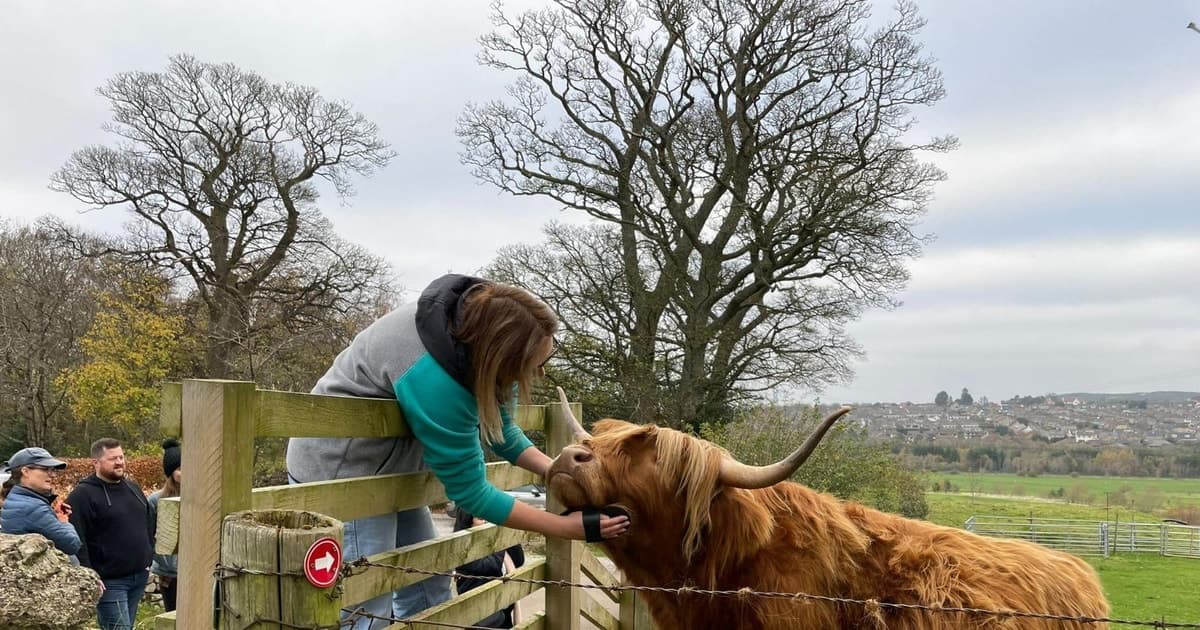 Edinburgh: Highland Cow, Craigmillar Castle, and Town Tour