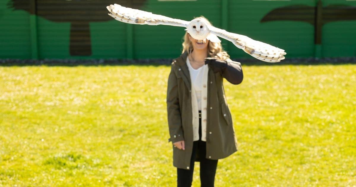 From Dublin: Cliffs of Moher, Bird of Prey & Aillwee Cave