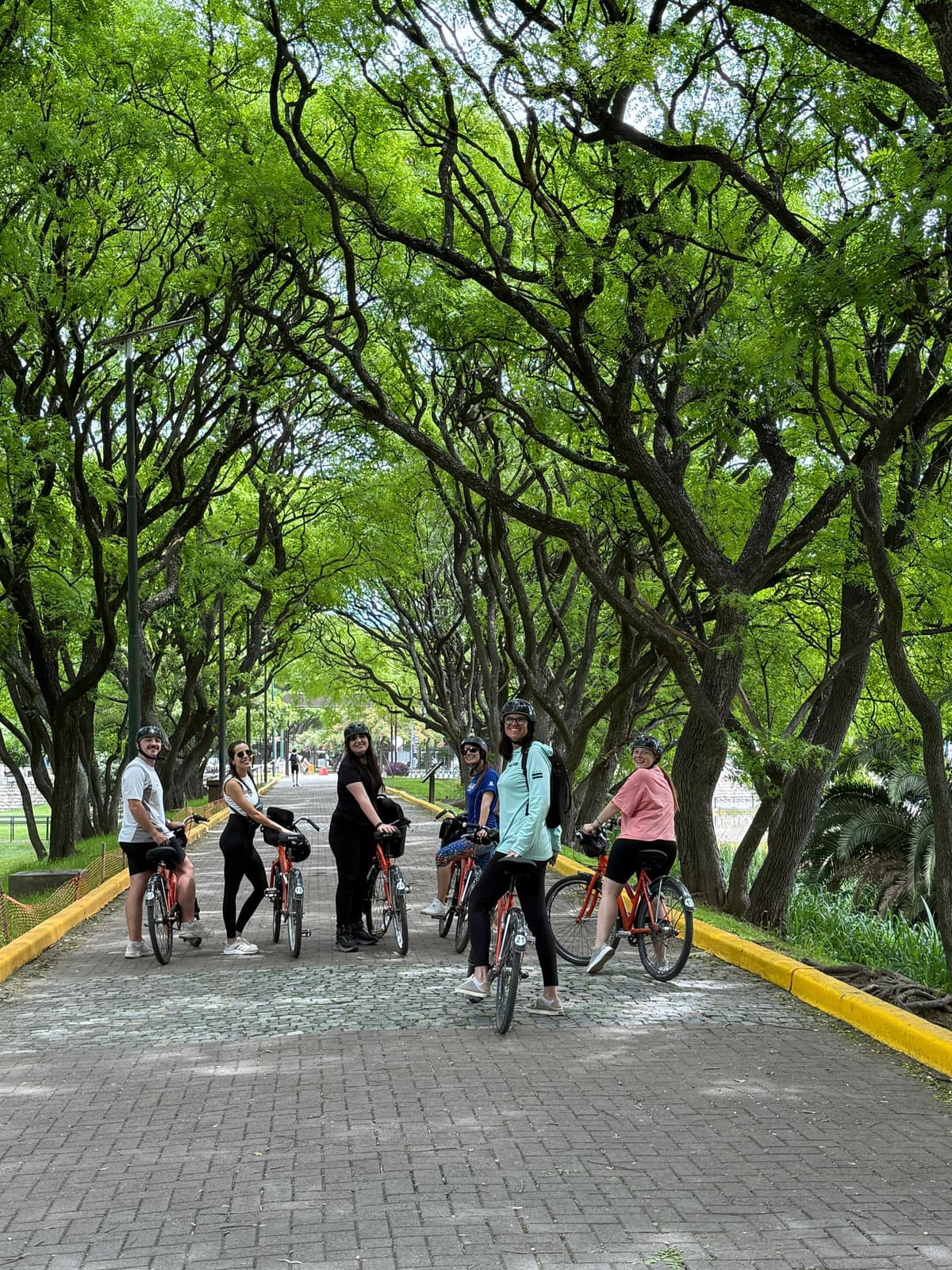 Buenos Aires en un Día al Norte y al Sur: bike tour y navegación por el río