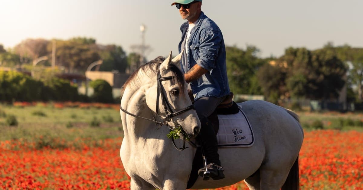 Horse Sanctuary in Rome
