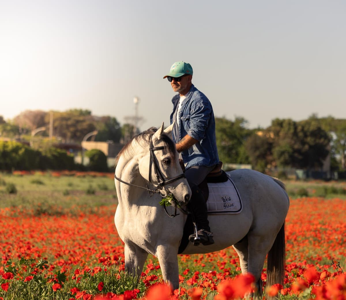 Horse Sanctuary in Rome