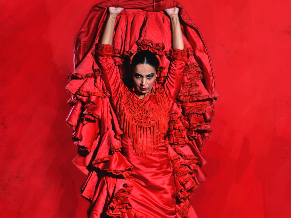 Teatro Flamenco Barcelona Inspiración