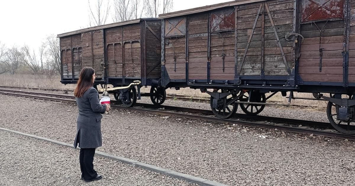 From Kracow: Auschwitz Complex Alternative Tour