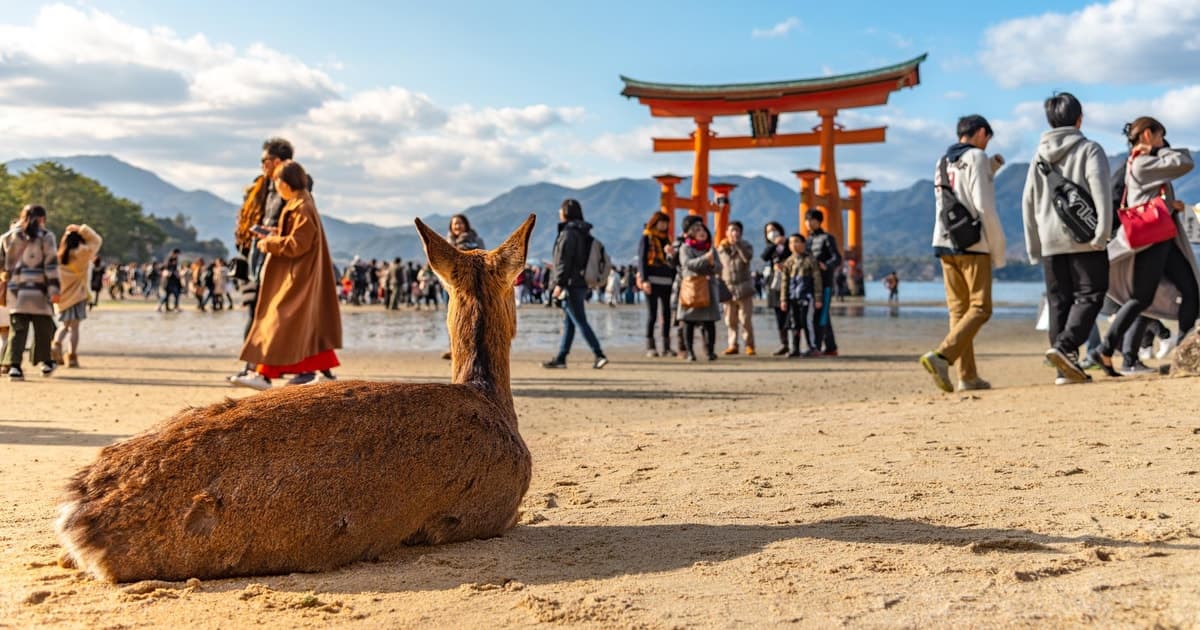 From Tokyo: Hiroshima and Miyajima Day Trip by Bullet Train