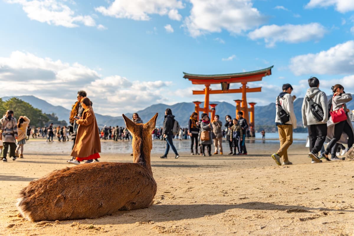 From Tokyo: Hiroshima and Miyajima Day Trip by Bullet Train