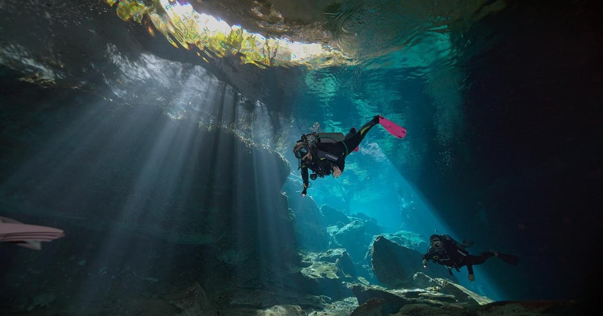 Buceo privado en cenotes desde Playa del Carmen y Tulum