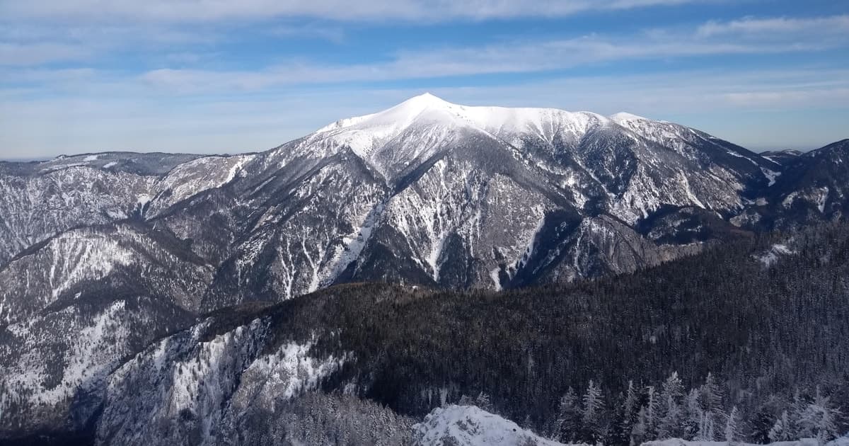 Vienna: Relaxed Alpine Snowshoe Experience Guide & Transfer