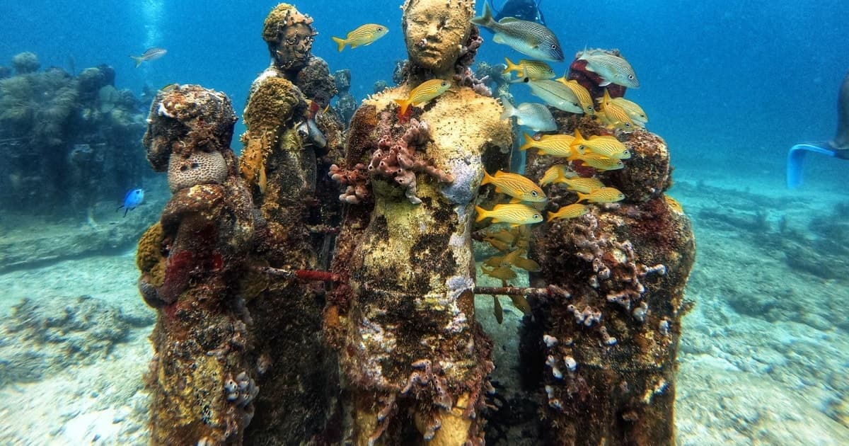 Cancún: Museo Submarino MUSA y arrecife con Discover Scuba Diving