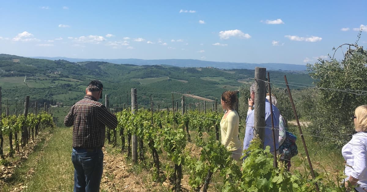 Chianti Classico: Winery Tour & Tasting at Gagliole Wines