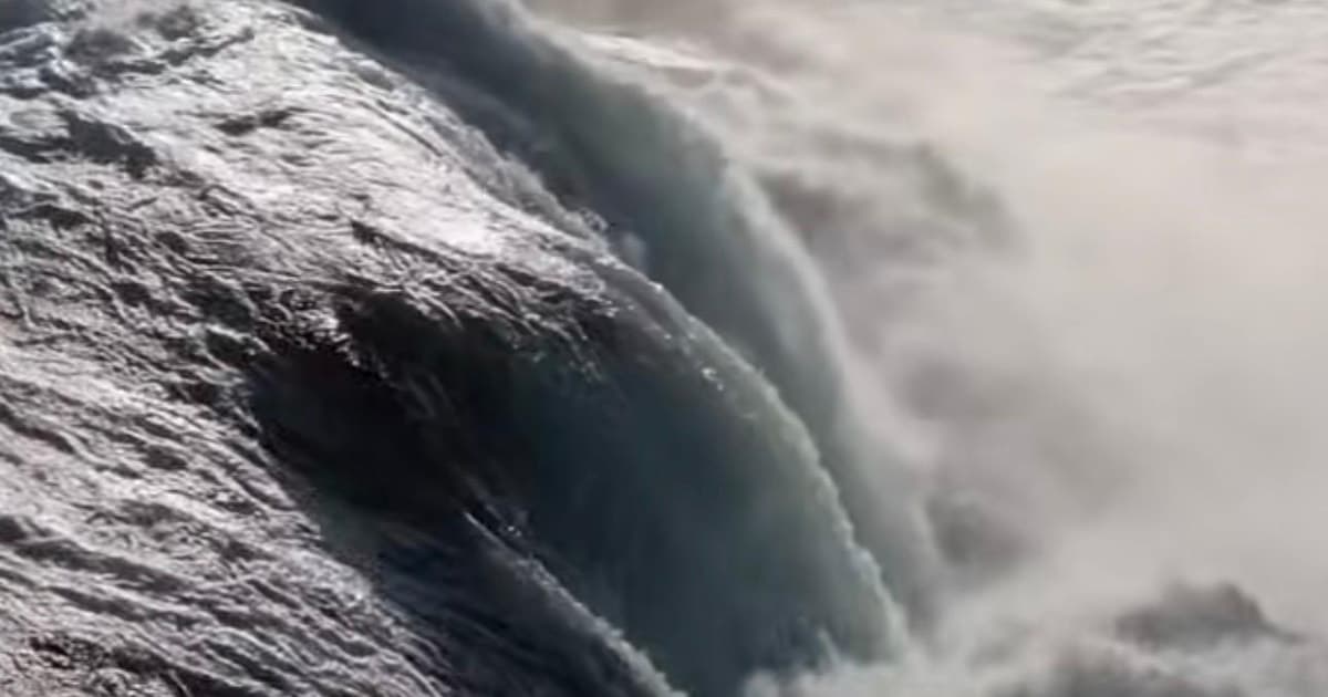 Zurich: Rhine Falls Private Transfer and Entry Ticket
