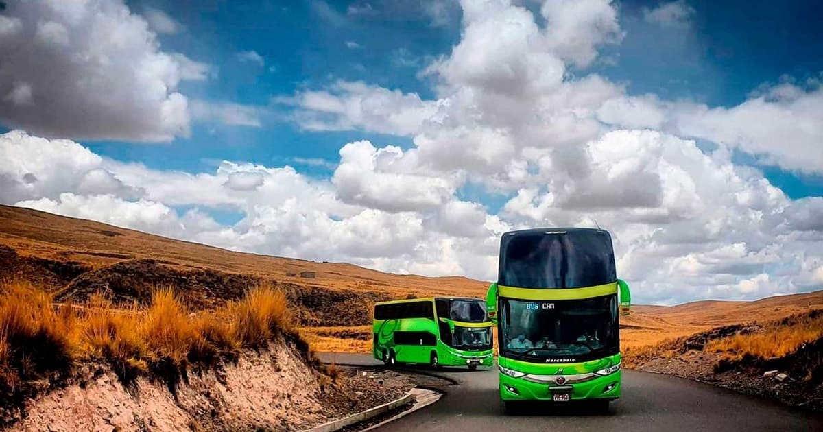 Desde Cusco: Autobús Directo Cusco a Puno
