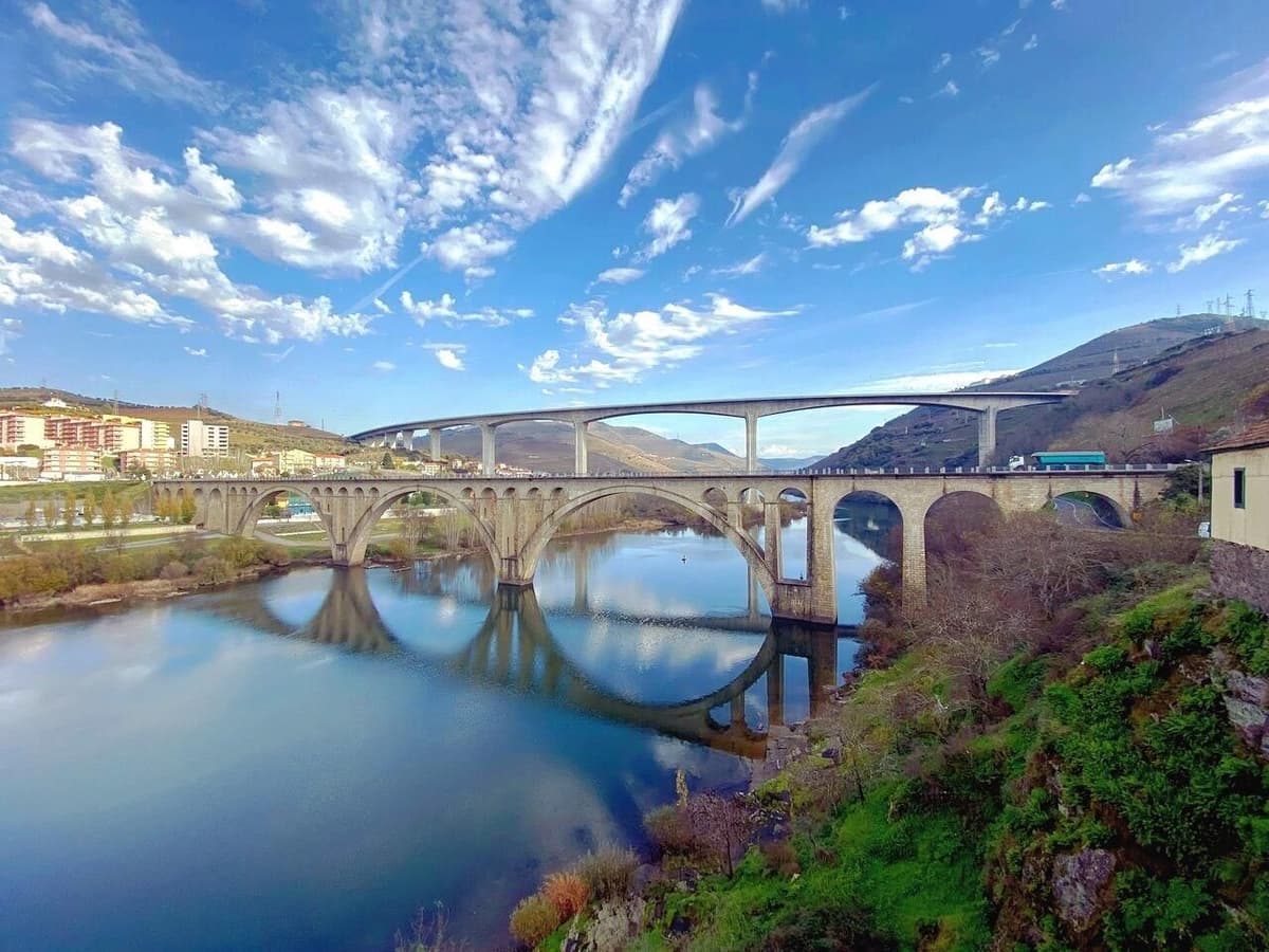 Half Day Douro Valley Tour with Cruise and Winery Lunch