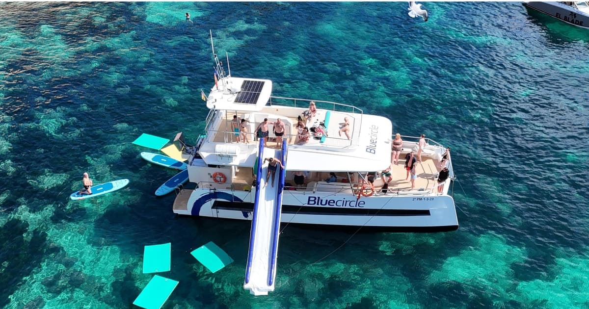 Palma: catamarán de lujo con aperitivos, bebida, surf de remo y esnórquel