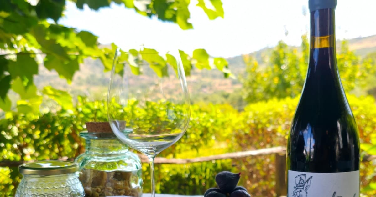 Tasting of Portuguese Wines from the Alto Douro